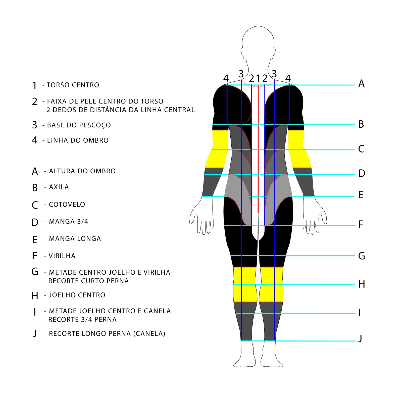 O CORPO HUMANO